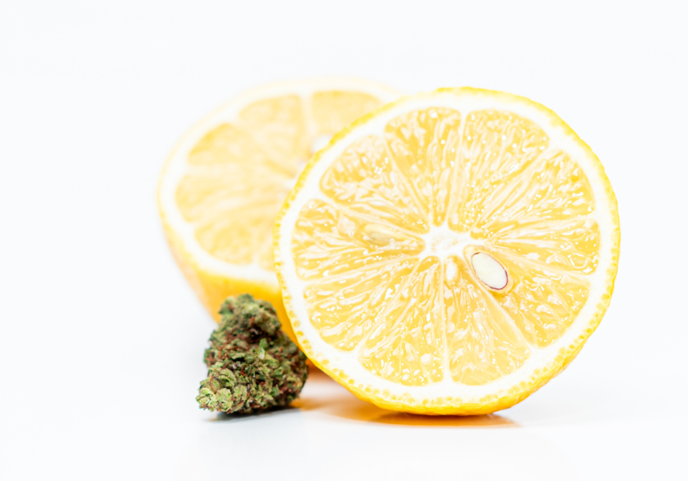 The Science Of Terpenes How They Affect The Aroma And Effects Of