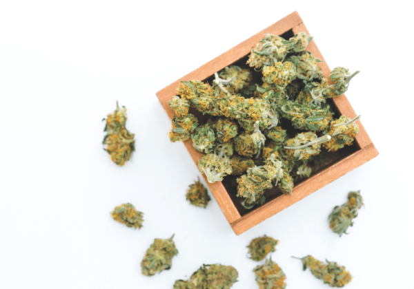 Cannabis Flower Quality