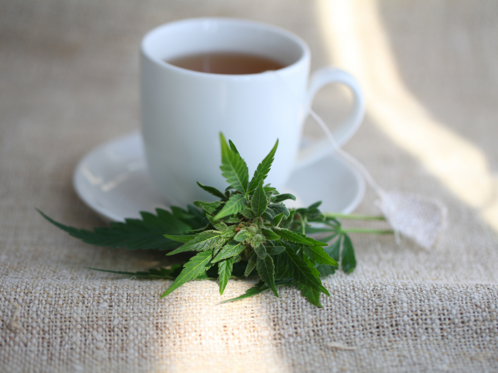 How To Make Cannabis Tea At Home Kushmapper