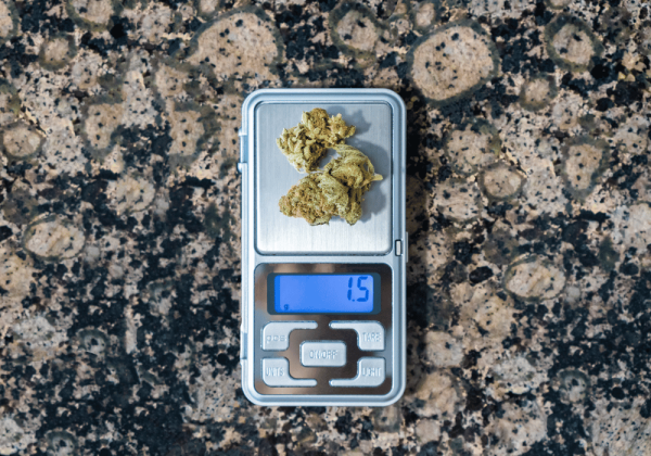 KushMapper Cannabis Buds Being Weighed On Scale Cannabis Edibles Blog