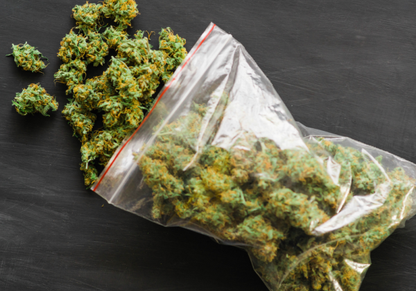 KushMapper Cannabis Buds In A Ziploc Bag Spilling Onto A Table Science Of Terpenes Blog