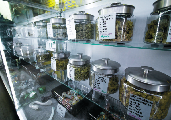KushMapper Jars Of Cannabis Buds On Shelves Dispensary Visit Blog