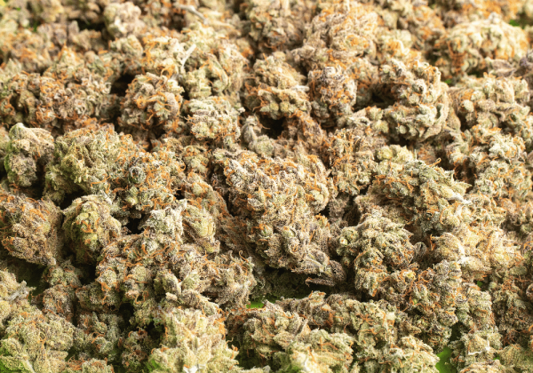 cannabis flower high quality