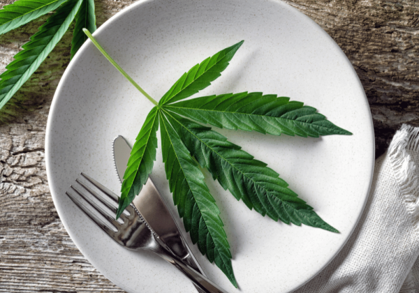 cannabis leaf on a plate