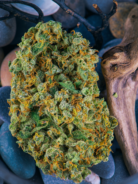 kush Mapper – cannabis strains2 – blog body
