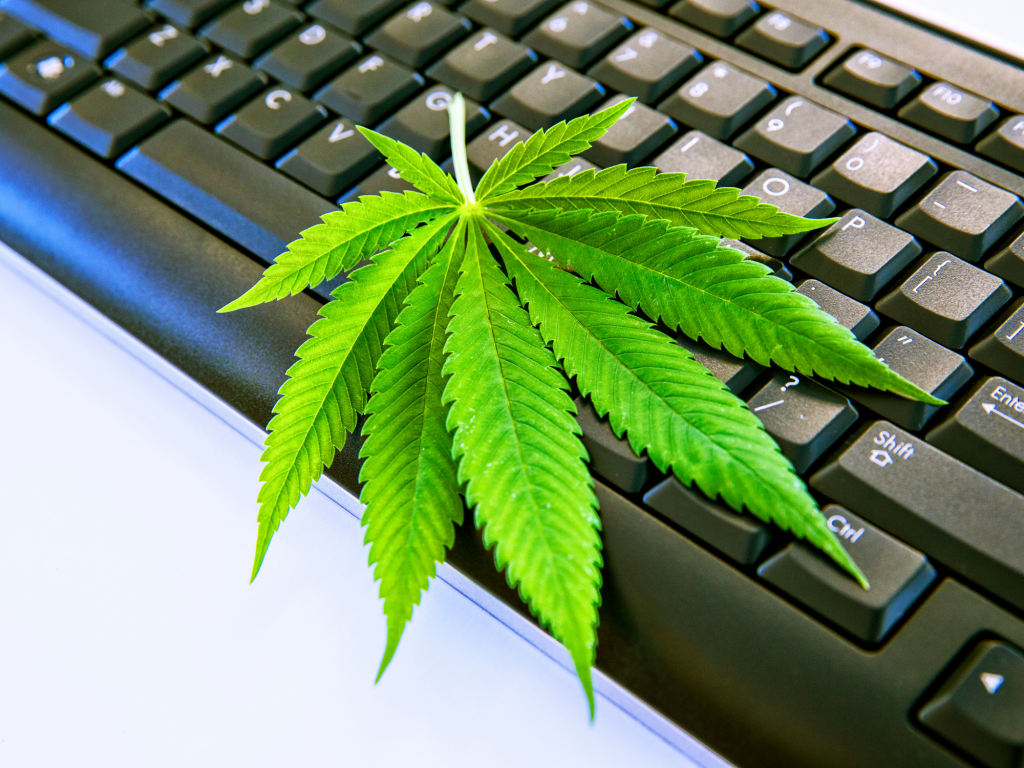 order weed online in canada on computer