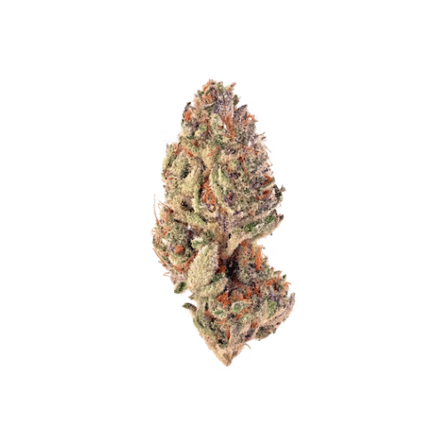purple glue cannabis strain